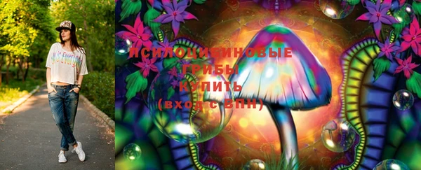 spice Алексеевка
