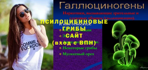 СК Алзамай