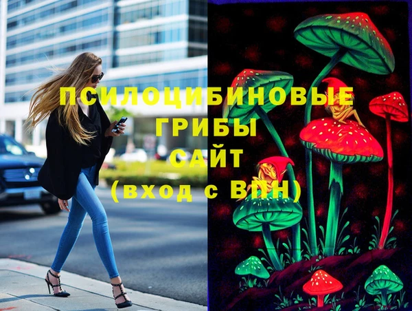 СК Алзамай