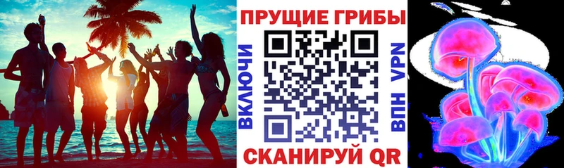 Галлюциногенные грибы мухоморы  Орёл 